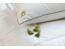 ������� ���� ���������� � ����.jpg