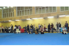 DSCN6213.JPG