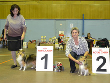 ���� �����