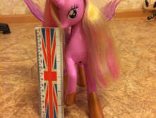 ����� ������� ��� �� 500 ���