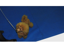 DSCN6134.JPG