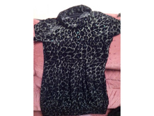 ���� ���� ��� �� ����