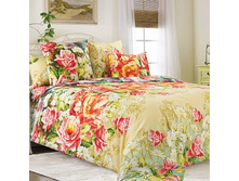 ������ 1 ����.jpg