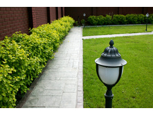 ������������ �������� �����