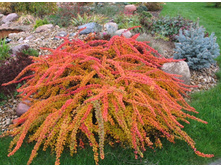 �������� �������� «���� ������»1.jpg