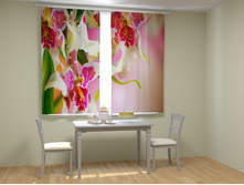 ������� �������.jpg