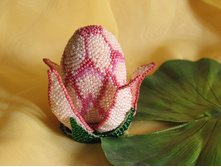 �������� ���� "������� �����"