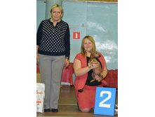 ���� ���������