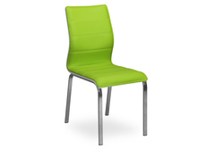 ���� MILA.jpg