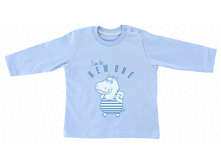 �������	v0299 �������