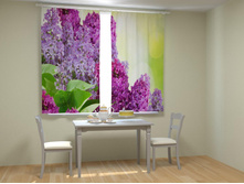 �������� ����.jpg