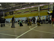 DSC 0877.JPG