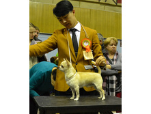 ���� ��������