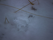 ������ ������� 2015-63.jpg