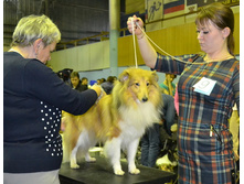 ���� �����