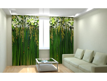 ��������� �����.jpg