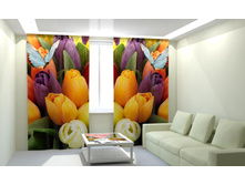 �������� � �������.jpg