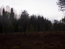 ������ ������� 2015-215.jpg