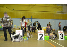 ���� �����