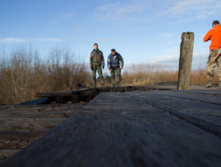 ������ ������� 2015-158.jpg