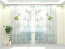 ����� ������.jpg