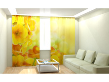 ��������� ������.jpg