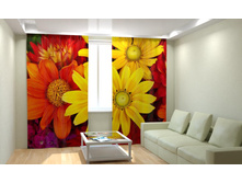 ����� ������.jpg