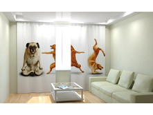 ������� ������.jpg