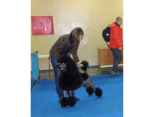 DSCN6092.jpg