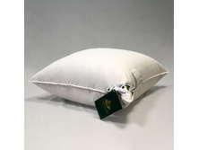 ������� ������ ��������.jpg