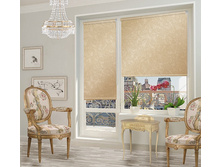 ���� ��������� �������� ��������