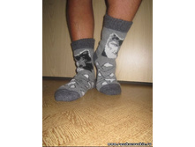 ������� ��������� ����� �������� ����� � ��������(���� ���.)