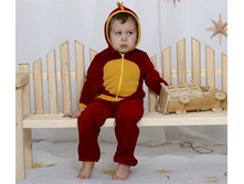 ���� �������