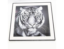 QW-66079 (10) 61�34�64��. ������� ���� � �������� 3D. ���� 3150�.jpg