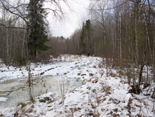 ������ ������� 2015-131.jpg