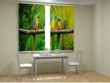 ������� �� �����.jpg