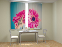 ��������� ����.jpg