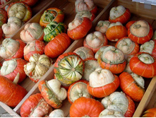 ����� ������������ ��������� ������ ����� 11,50 ���.