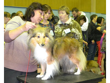 ���� �����