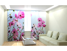 ������ ���.jpg