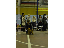 DSC 0883.jpg