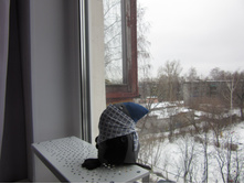 IMG 0373.jpg