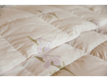 ����������� ���� (������).jpg