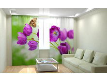 ����� �������.jpg