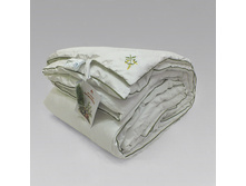 ������ ���� ���������� .jpg