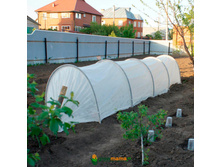 ������  4 �  620�