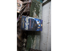 ������ ������� 2015-110.jpg