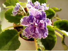 ��-�����