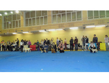 DSCN6211.JPG