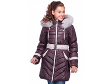 ������ ������ ���. 2956�